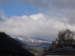 DSC00144