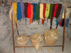 DSC00300