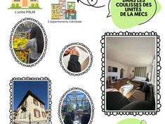 🔎 Dans les coulisses de l’unité PALM : Préparation À La Majorité