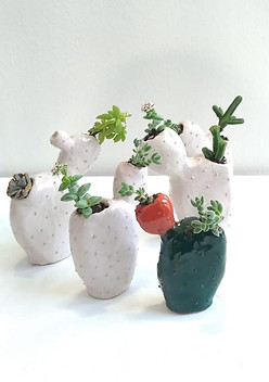 vasetti in ceramica per mini piantine