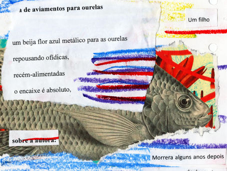 NÃO-ME-ESQUEÇAS