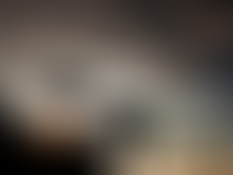 Q3 2020 Participant Newsletter