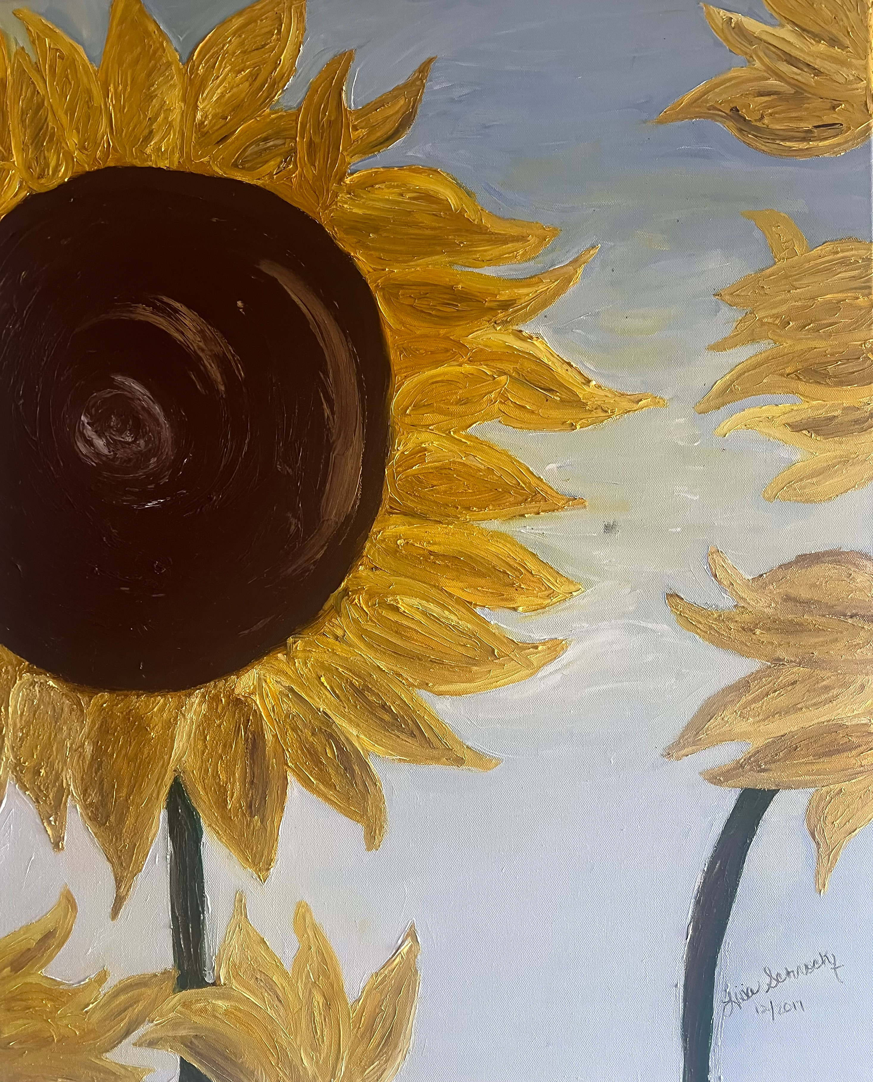 Sunflower