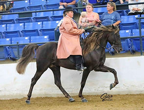 MK Under saddle 25.jpg