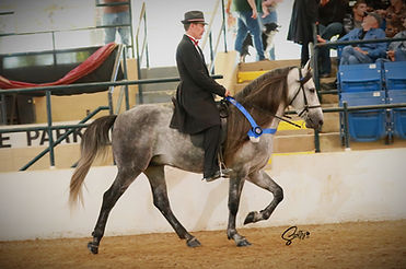 RMHA24-SAC-108 copy_edited.jpg