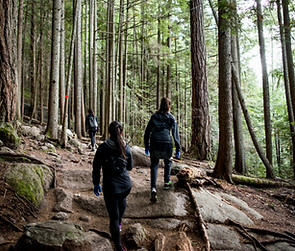 Hiking