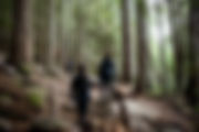 Hiking