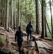 Hiking in Forest