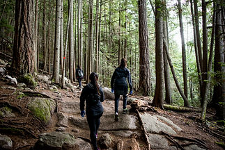 hiking