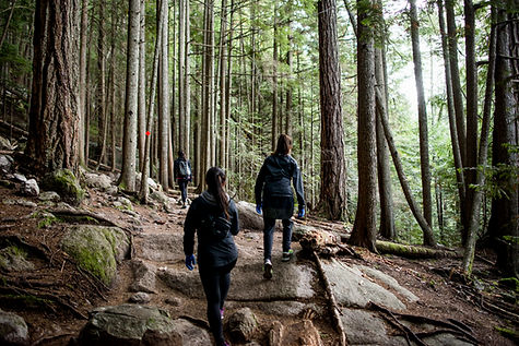 hiking