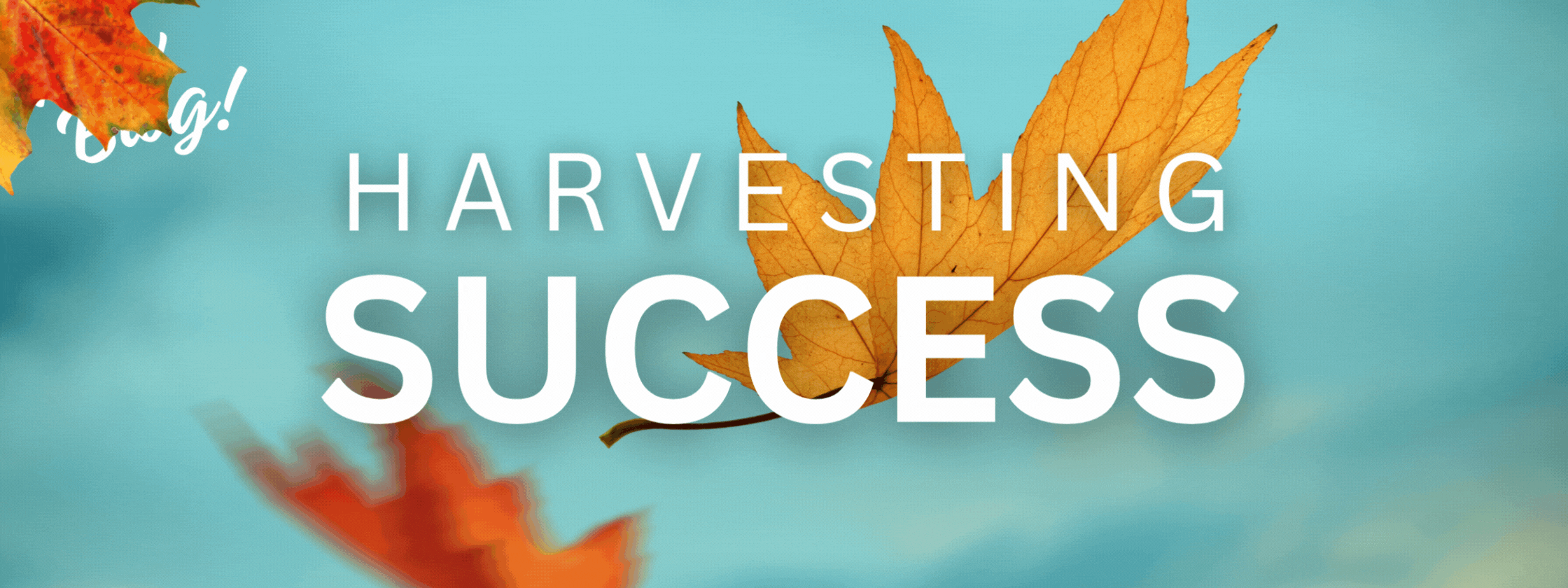 Leaf Floating behind the word success