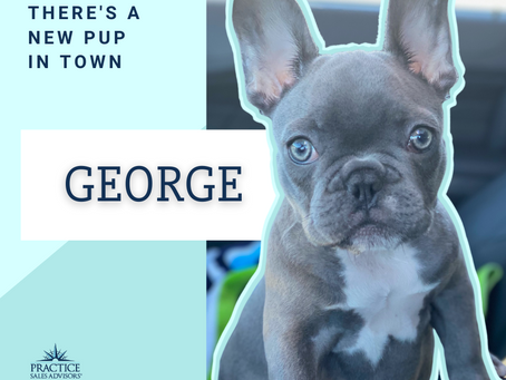 There's a new Pup in town!