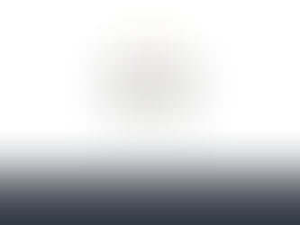 Website Terms and Conditions