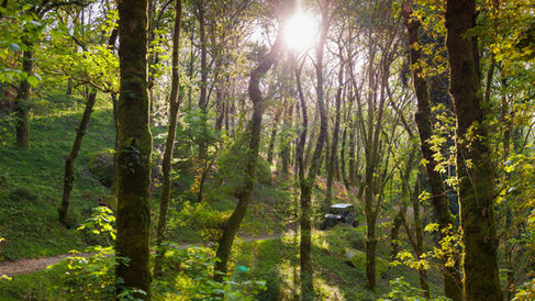 Buggys no Norte de Portugal