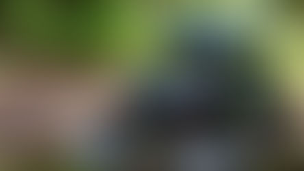 Buggy Tours Portugal