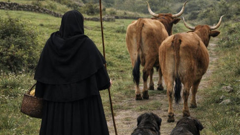 As Viúvas dos Vivos