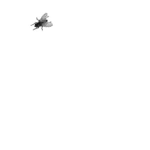 352094_c1f77.gif