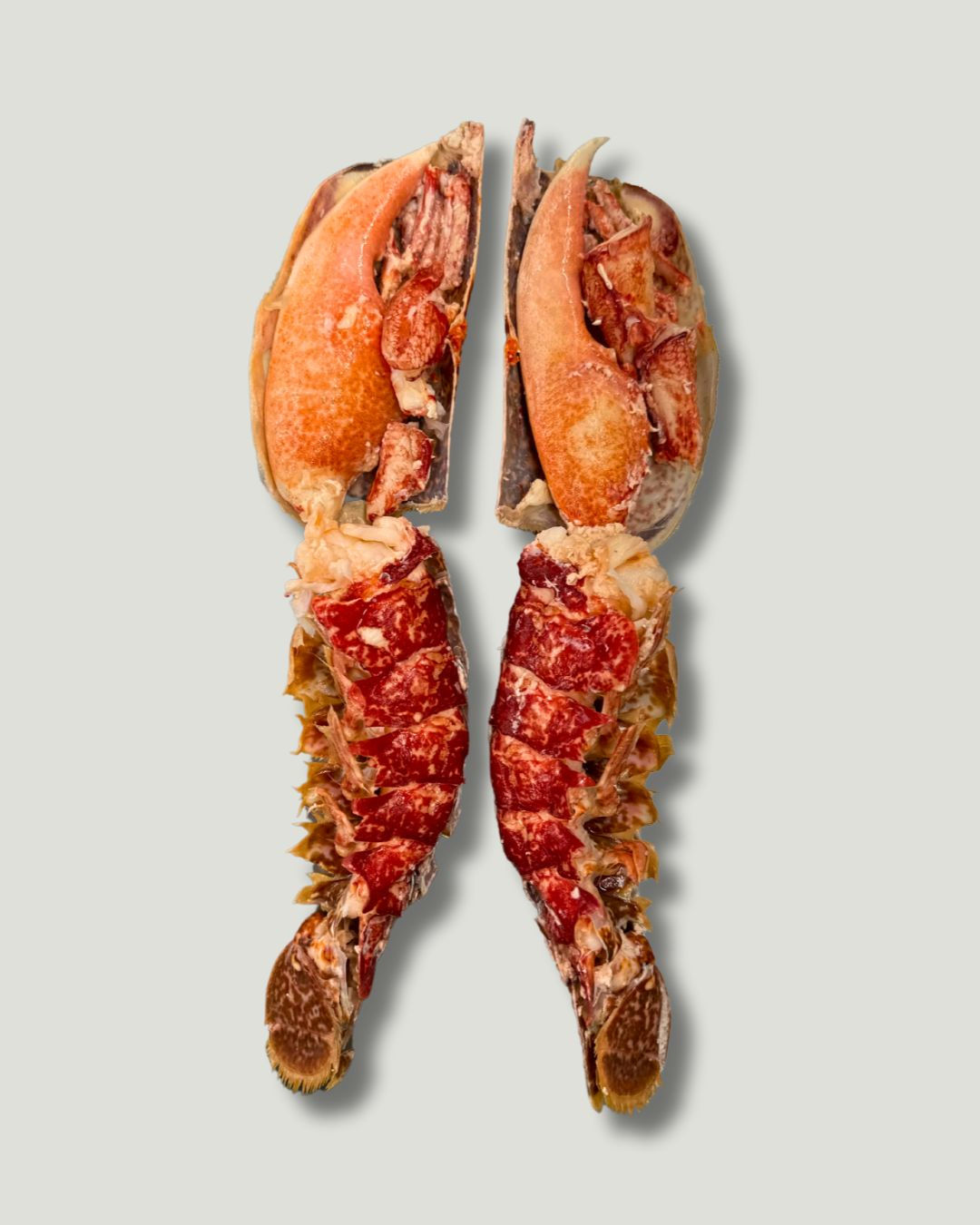 Dressed Cornish Lobster