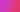 Gradient Purple Red