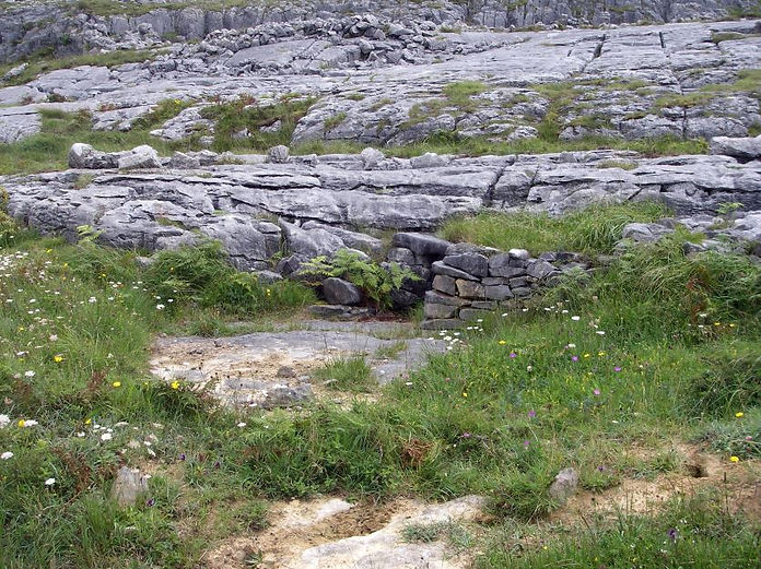 Drunken Horse site returning to nature.JPG