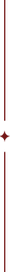 elemento-2.png
