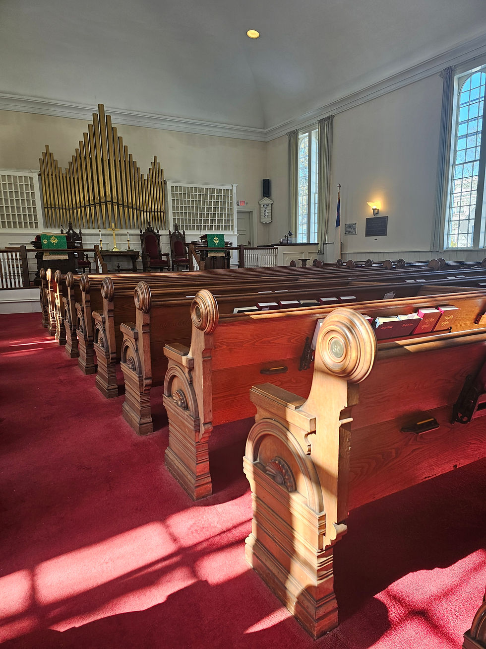 Sanctuary pews bathed in the summer sun.