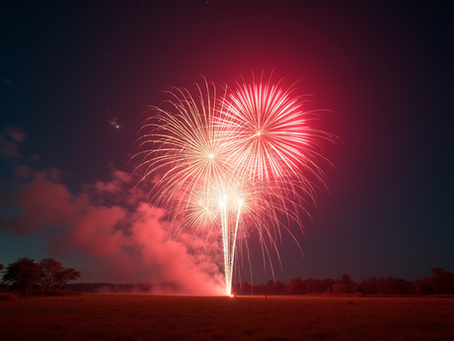 Top Firework Events to Enjoy with Your Family