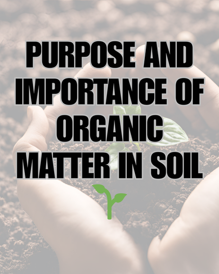 Purpose and importance of organic matter in soil