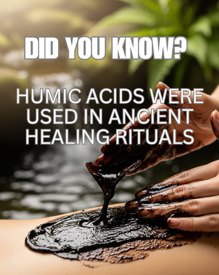 Nature’s Black Gold: The Healing History of Humic and Fulvic Acids