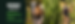 homepage_C.png