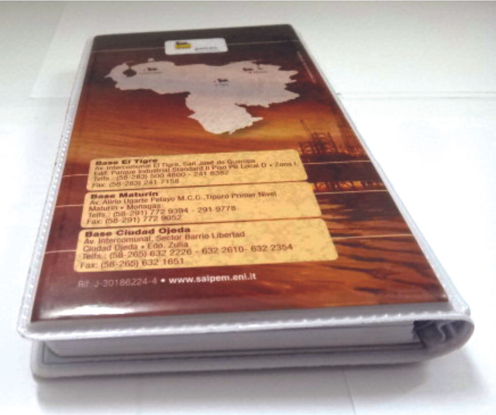 Tally Book Enix2.jpg