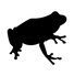 Frog_shape.png