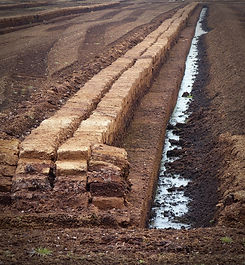 peat-1265081_1920.jpg