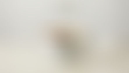 Silver Spun Bamboo Bowl | Rockhill America Wholesale Home Decor & Accessories