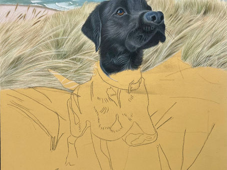 A Week of Inspiration: Portraits, Puppies, and Lake Garda