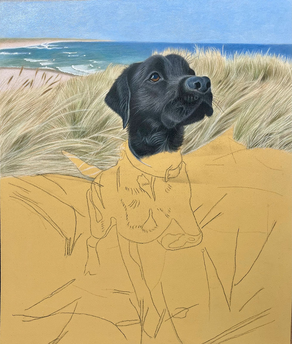 A Week of Inspiration: Portraits, Puppies, and Lake Garda