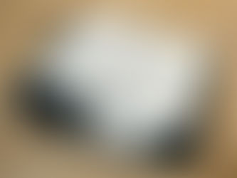 Pet Portrait Gift Certificate