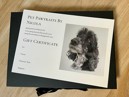 Gift Certificate photo - Custom Pet Portrait Art - Pet Pawtraits By Nicola