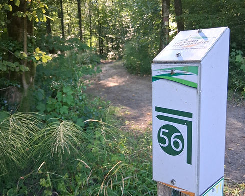 Poteau balisage des sentier de randonnée en forêt