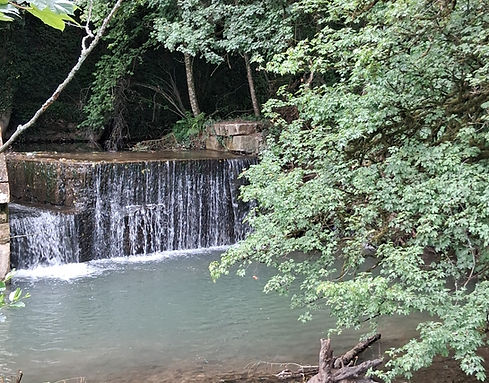 Cascade d'eau: La Chute du Lion sur la rivière La Vaux à Signy L'Abbaye