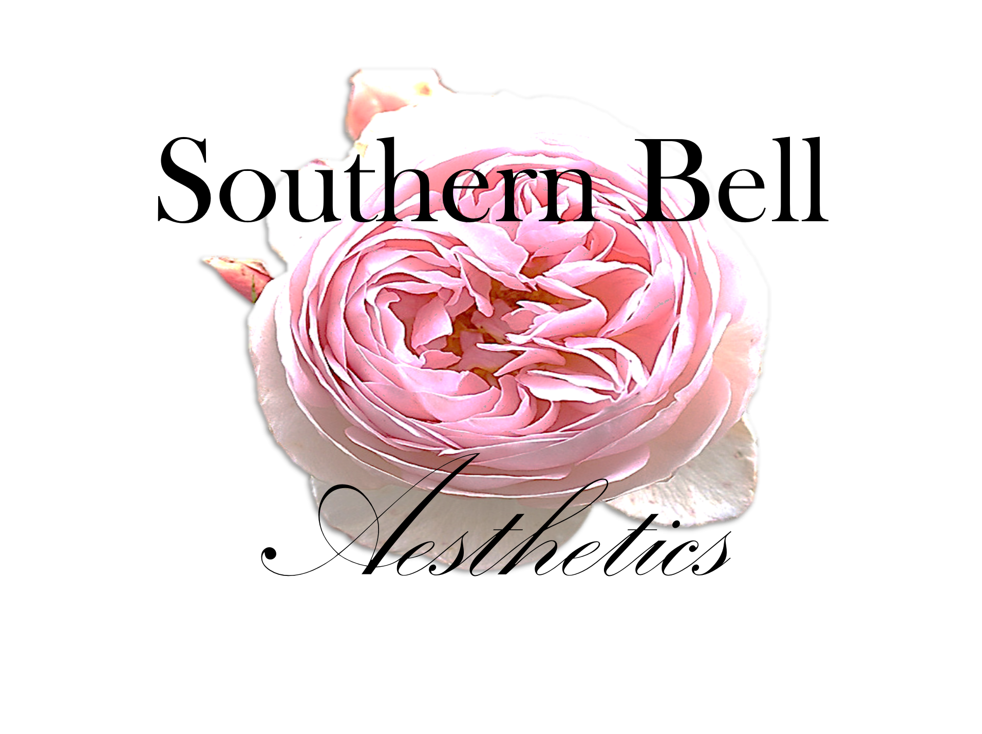 Southern Bell Aesthetics - Medical spa in Knoxville