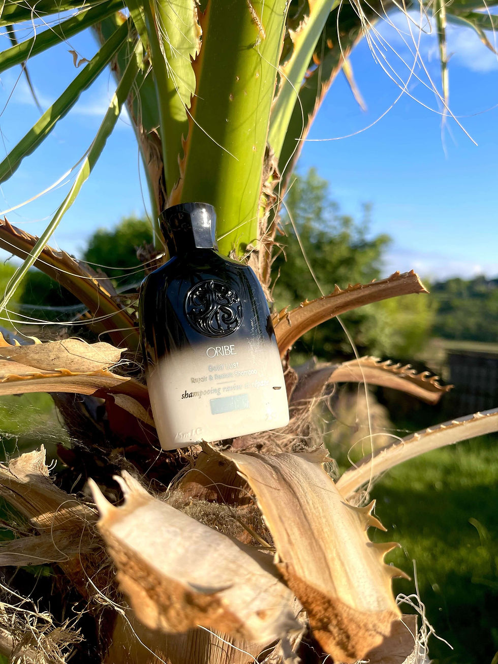 avis shampoing oribe gold lust