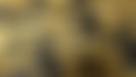 La rémunération variable : un levier de performance