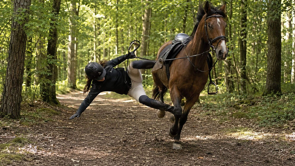 avocat pour accident de cheval
