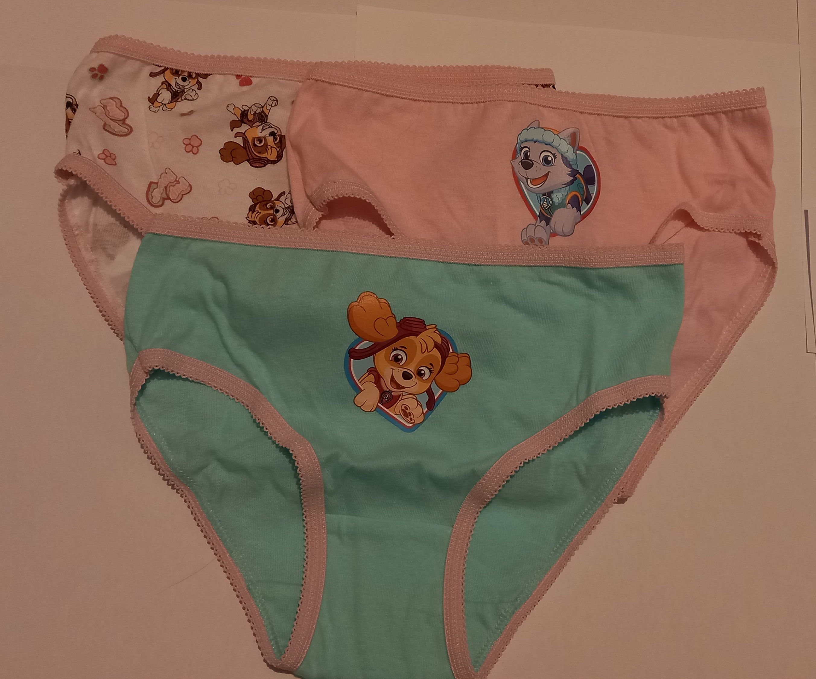 Lot de 3 Slips Paw Patrol