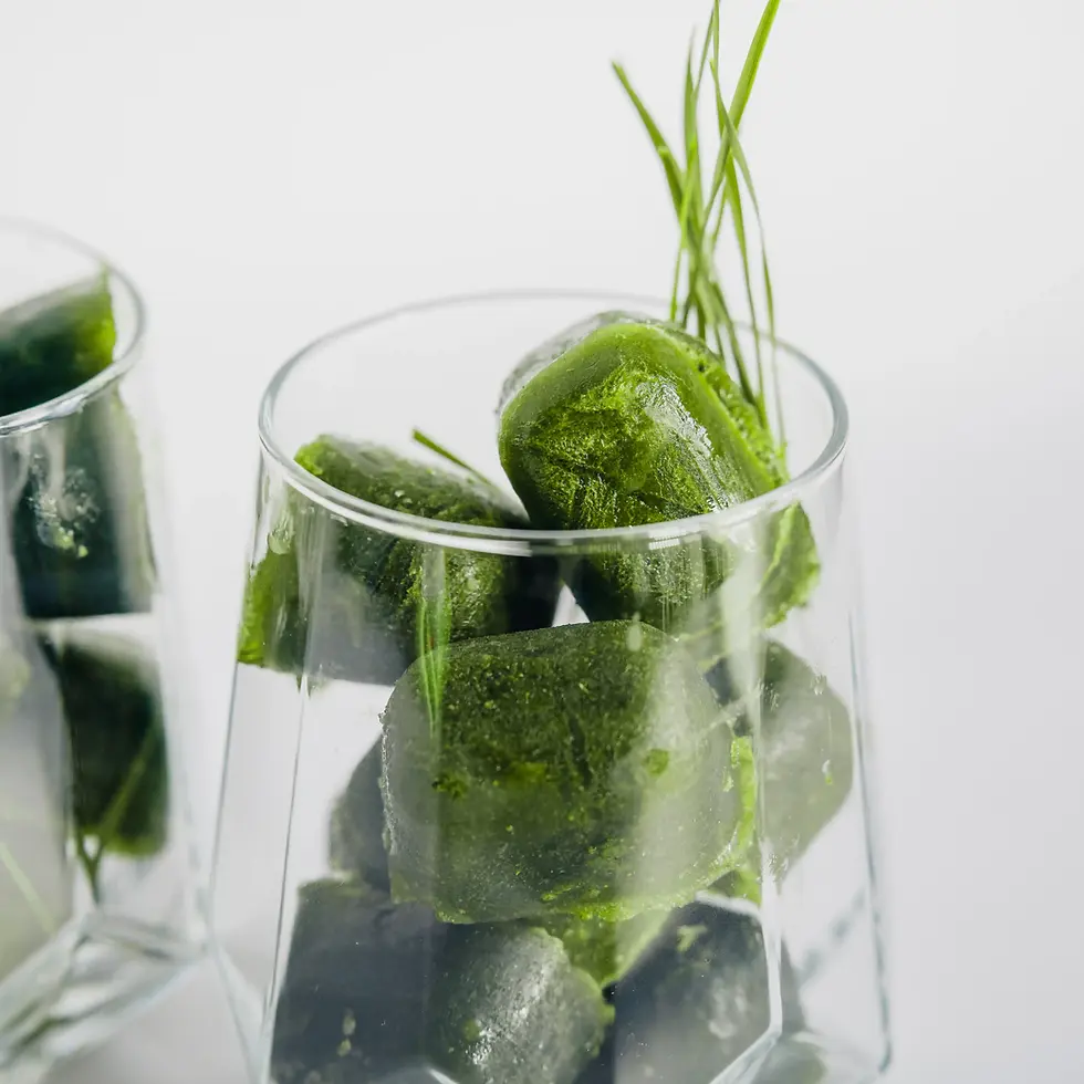 Glaçons de jus d'herbes de blé