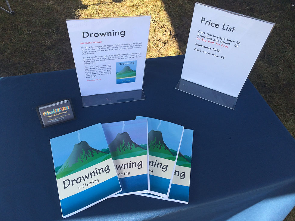 Holding a stall at the local fair