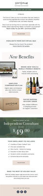 SEND 2 -Consultant Win-Back Campaign (send 1)