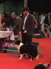 Kerstshow Landen To Love and Hold Royal Arrival of Riley