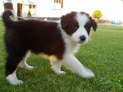 8 Onze lieve Jylka